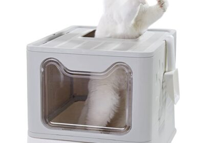 Katzentoilette, Faltbar Katzenklo mit Deckel Inklusive