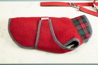 nahtur-design Hundemantel "Loden" | 100% Schurwolle - Produktbild
