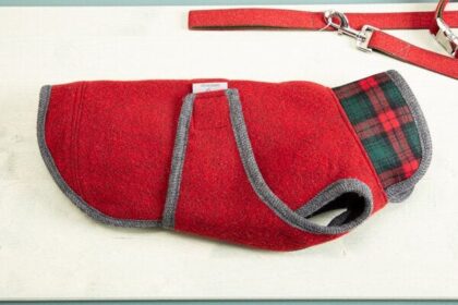 nahtur-design Hundemantel "Loden" | 100% Schurwolle - Produktbild