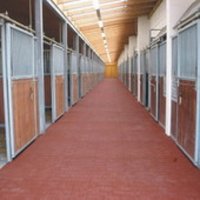 Stallmatten Pferdestallmatten Intergard - Produktbild