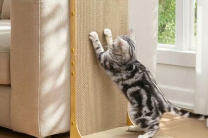 Kratzbrett für Katzen,66 cm Lförmige Wandmontage,