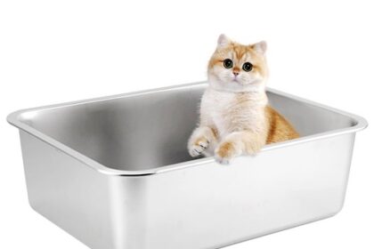 XXL Katzenklo,Großes Katzentoilette 50 * 35