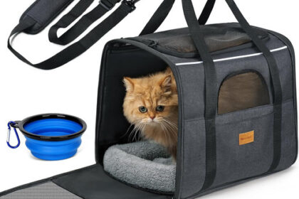 Morpilot Katzentransportbox Für Große Katzen Und