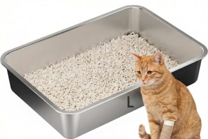 Katzentoilette aus Edelstahl, hohe Seiten, groß,