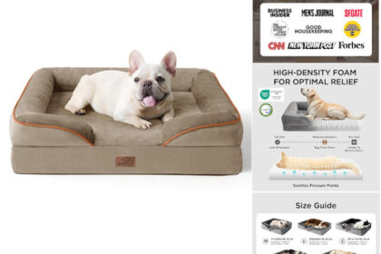 Orthopädisches Hundebett Eierkistenschaum 71x58 cm Has