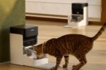 Petlibro PLAF301: Smarter 3L RFID Futterautomat