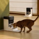 Petlibro PLAF301: Smarter 3L RFID Futterautomat