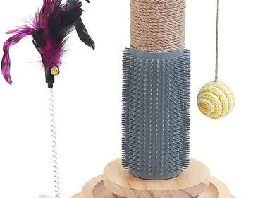 Marchul 5 in 1 Katzenspielzeug, Katze