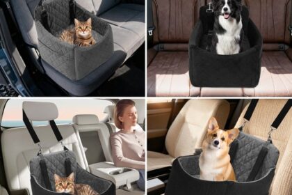 Autositz für kleine Hunde, Hundebett für