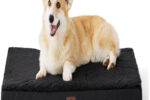 Bedsure Orthopädisches Hundebett 89x56x7,6cm Schwarz Was
