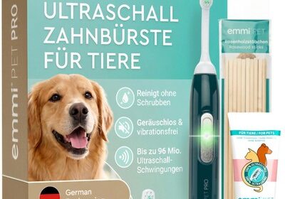 PRO UltraschallZahnbürste für Hunde I Geräuschlose