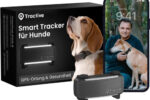 Tractive GPS Tracker Hund | 2025