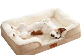 Premium Hundekorb orthopädisch groß – Anatomisches