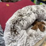 Kuschelhöhle Größe S Filousion Hundebett