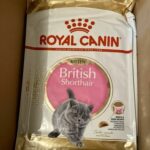 10 Kg Royal Canin BKH British