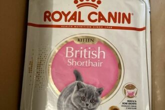 10 Kg Royal Canin BKH British
