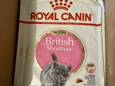 10 Kg Royal Canin BKH British