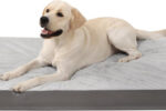 KSIIA Orthopädisches Hundebett Grosse Hunde, Hundekissen