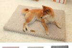 Orthopädisches Hundebett Memory Foam – Waschbar