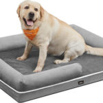 Feandrea Orthopädisches Hundebett, Hundekissen, Hundekorb, Weiche