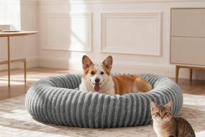 Katzenbett für Katzen, Flauschig Donut Hundebett