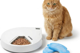 Cat Mate Digitaler Futterautomat C500 Katzen