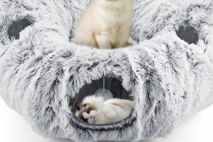 Katzentunnel, Katzenspielzeug für Indoor-Katzen, Weiches Katzenbett,