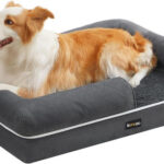 Feandrea Orthopädisches Hundebett, Hundekissen, Hundekorb, Weiche