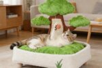 Kleines Katzenbett Katzen Nest Mit Kratzbrett