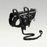 Outdoor Dog Harness – 900D Nylon Detachable Elastic Leash Reflective Dual Handles M/L/XL Hiking Walking | Traverseon