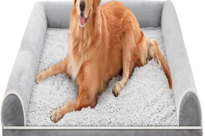Hundebett Orthopädisch Groß 127x91x19 cm Grau