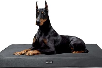 Orthopädisches Hundebett 10cm Dicke Innenfutter 120cm