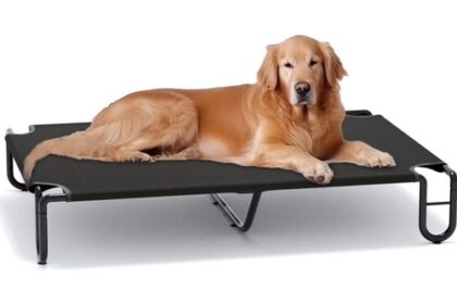 Hundebett groß, Hundeliege, Outdoor, Kühlung, waschbar,