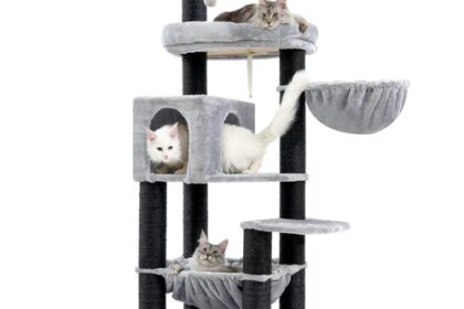 XXL Grosse Kratzbaum für Maine Katze,
