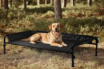 Gardner Pet Hundeliege Outdoor, Erhöhtes Hund