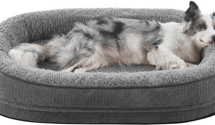 Orthopädisches Hundebett Mittelgroße Hunde, 89X63Cm Vierseitiges