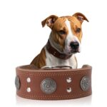 Lederhalsband Hund, 5cm Hundehalsband Leder Breit,
