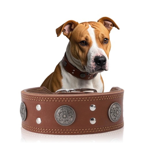 Lederhalsband Hund, 5cm Hundehalsband Leder Breit,