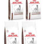 ROYAL CANIN Dog Hepatic Trockenfutter für