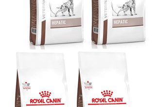 ROYAL CANIN Dog Hepatic Trockenfutter für