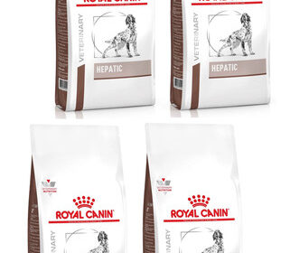 ROYAL CANIN Dog Hepatic Trockenfutter für