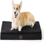 Bedsure Orthopädisches Hundebett 89x56x7,6cm Schwarz Was