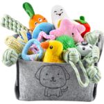 Kauspielzeug Set für kleine und mittelgroße