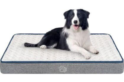 Komfortables Hundebett für Große Rassen -
