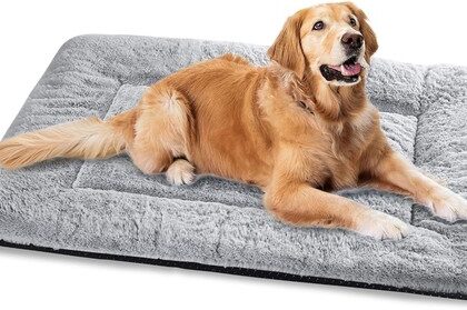 Graues Hundebett XXL, Große Hunde, Waschbar,