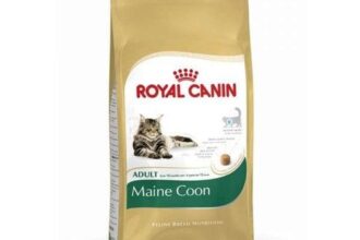 Royal Canin Katzen Trockenfutter Alleinfutter Maine