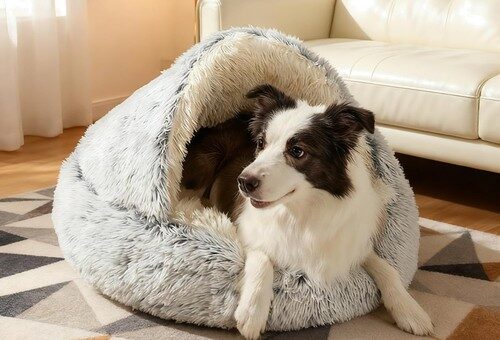 Hundebett Katzenbett Plüsch Kuschelbett Anti-Rutsch 50cm