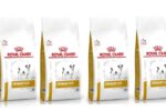 ROYAL CANIN Dog urinary S/O Trockenfutter
