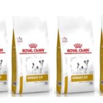 ROYAL CANIN Dog urinary S/O Trockenfutter