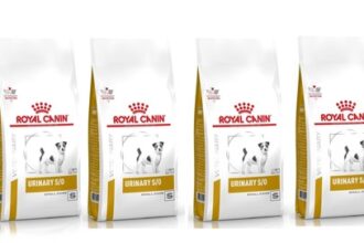 ROYAL CANIN Dog urinary S/O Trockenfutter